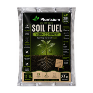 Plantsium Soil Fuel 2.5 kg