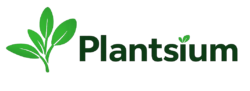 Plantsium