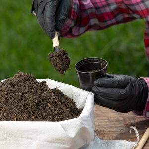 Organic Fertilizer